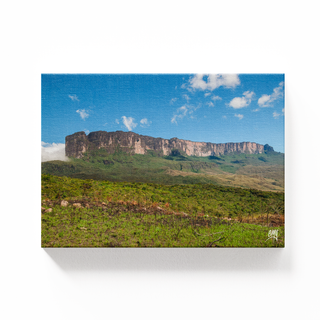Tepuy Roraima desde sendero al Kukenan