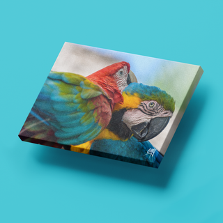Guacamayas