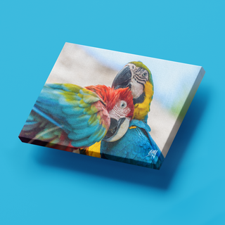 Guacamayas