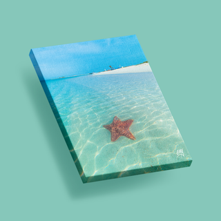 Una estrella de mar en la orilla