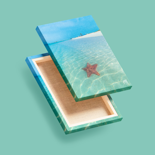 Una estrella de mar en la orilla