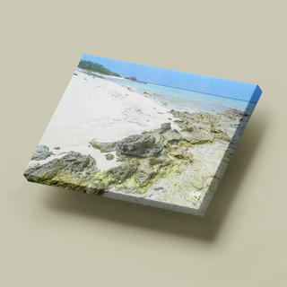 Isla La Tortuga