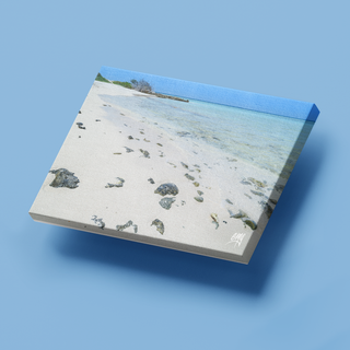 Isla La Tortuga
