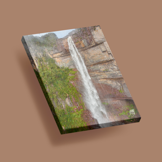 Salto de agua en el Auyantepuy