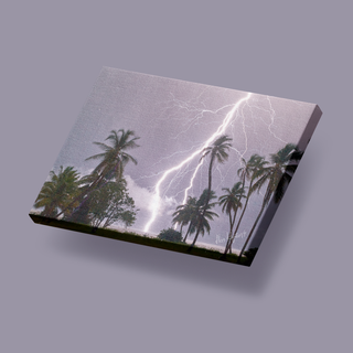 Monstruo de la Palma