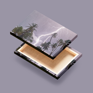 Monstruo de la Palma