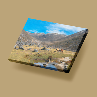 Caballos en el valle de Mifafí