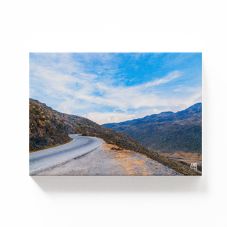 Carretera Trasandina