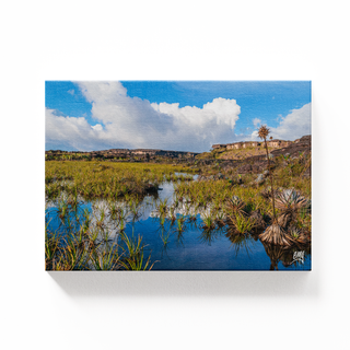 Sobre la cima del Tepuy Roraima