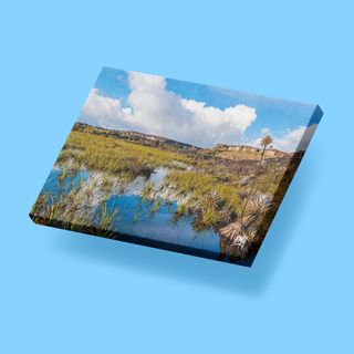 Sobre la cima del Tepuy Roraima