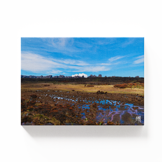 Sobre la cima del Tepuy Roraima