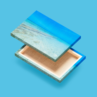 Azules Turquesa de La Tortuga