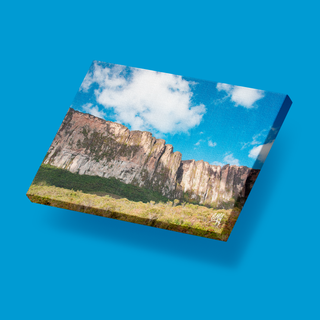 La pared del Tepuy Roraima