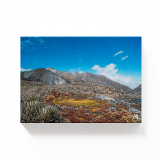 Alto de Piedras Blancas