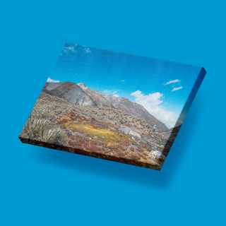 Alto de Piedras Blancas