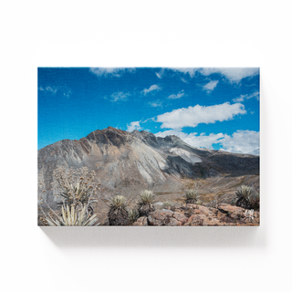 Pico Los Nevados
