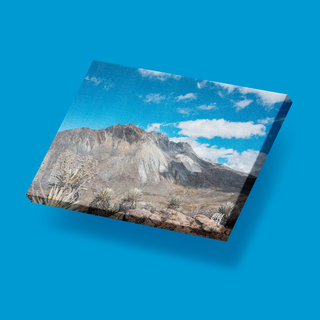 Pico Los Nevados