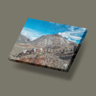 Recorriendo los senderos de La Culata