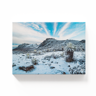 Sierra de La Culata nevada
