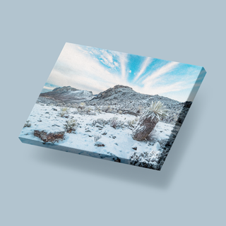 Sierra de La Culata nevada