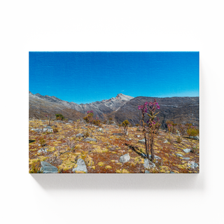 Picos Humboldt y Bonpland