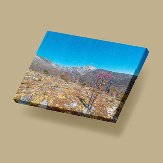 Picos Humboldt y Bonpland