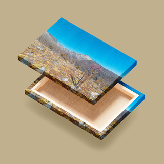 Picos Humboldt y Bonpland