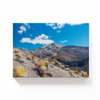 Picos Humboldt y Bonpland
