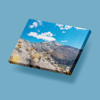 Picos Humboldt y Bonpland